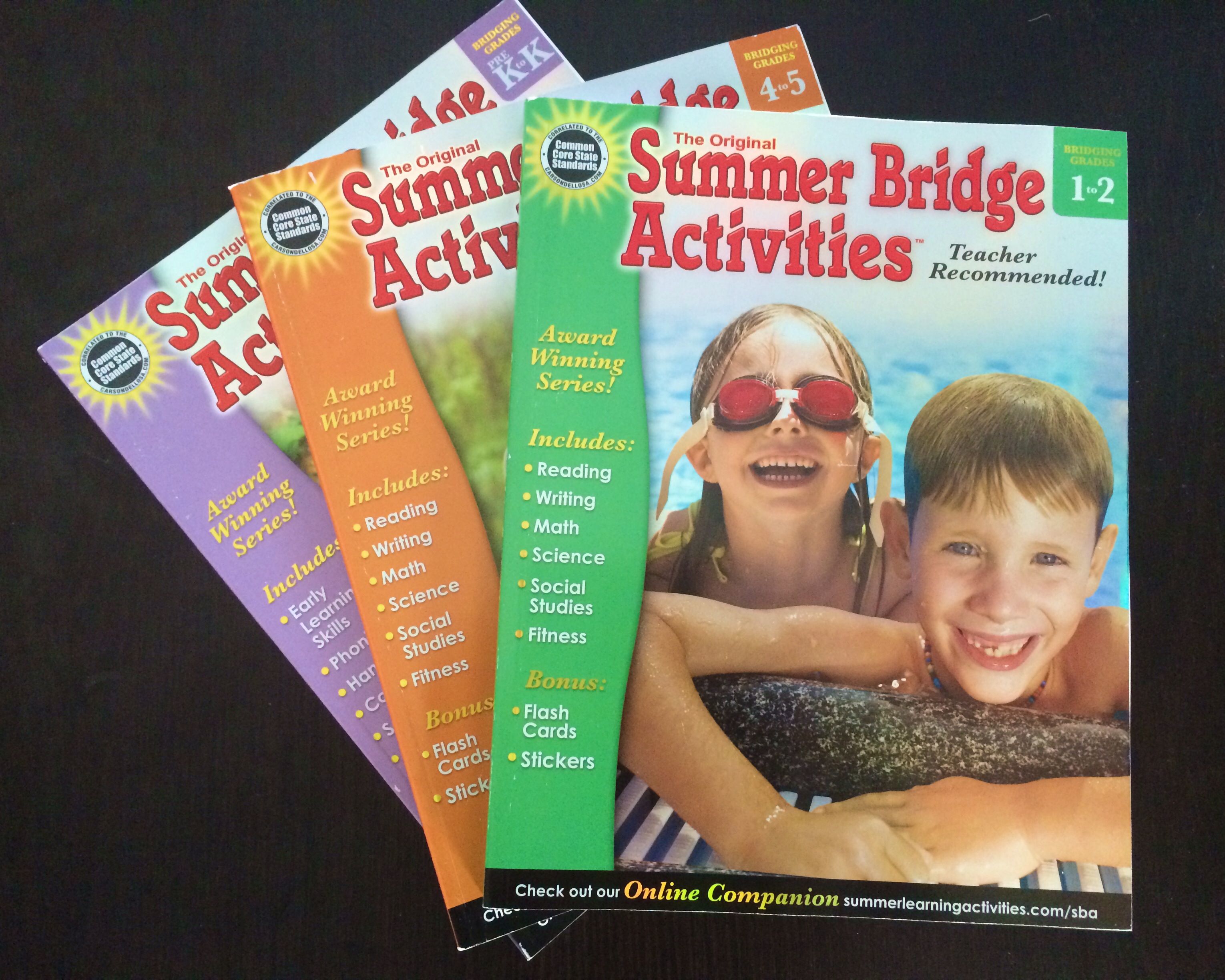 Summer Bridge Activities, part of summer survival