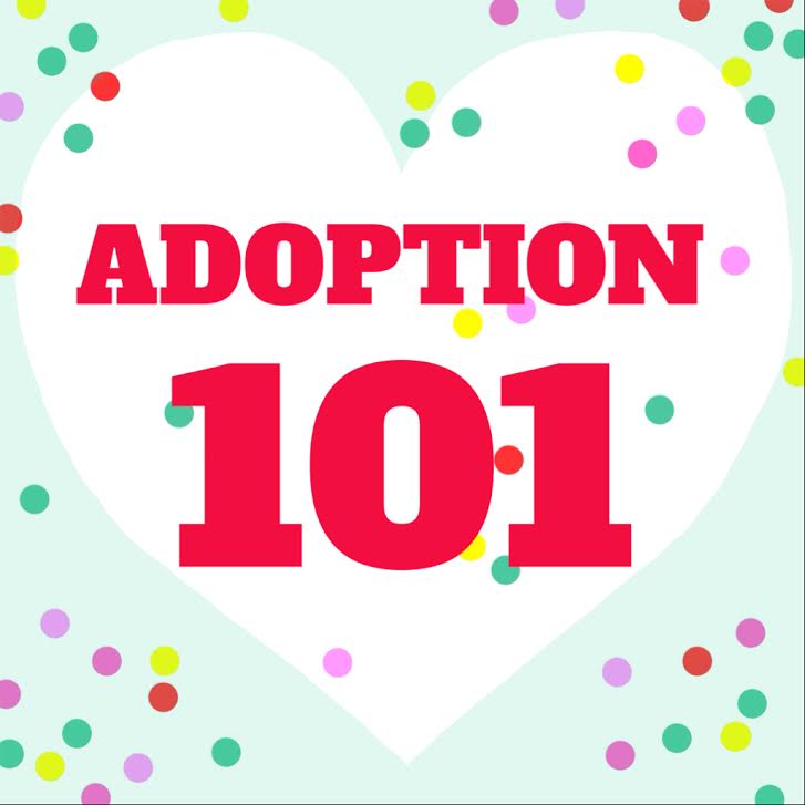 Adoption 101